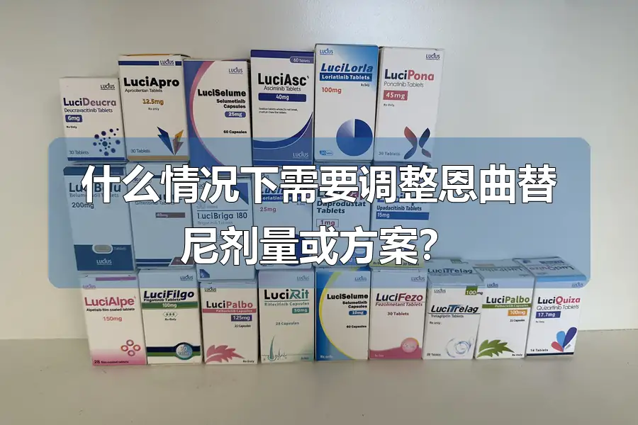 什么情况下需要调整恩曲替尼剂量或方案?